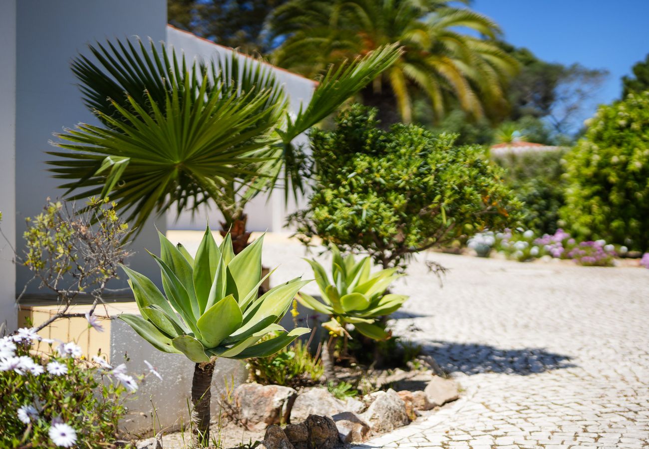 Villa in Carvoeiro - Casa Pitanga Villa in Carvoeiro - Casa Pitanga